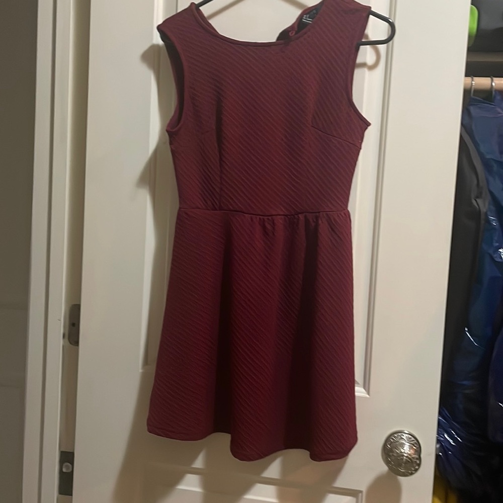 Forever 21 Maroon Skater Dress